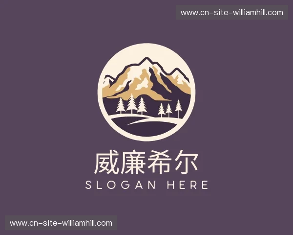 关于威廉希尔官方网站